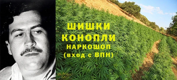дурь Алексеевка